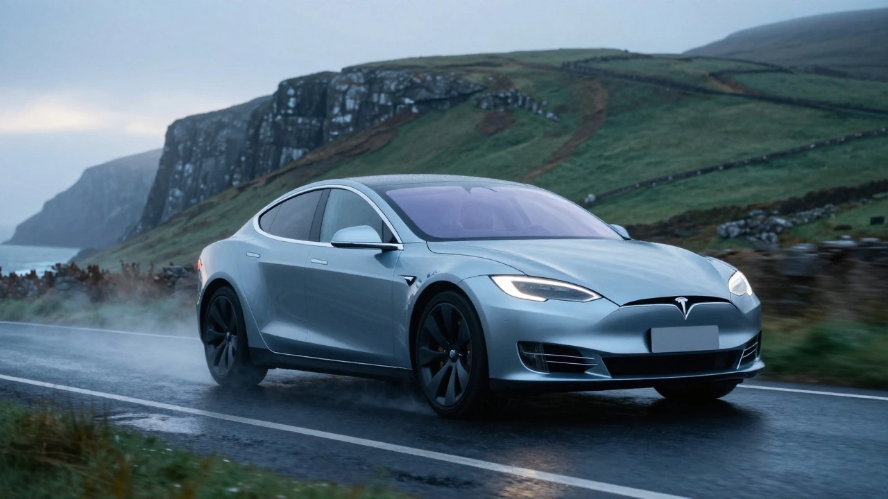 What car does Elon Musk drive? The truth behind his ride - and what it means for Irish drivers